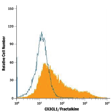 Detection of CX3CL1/Fractalkine antibody in bEnd.3 Mouse Cell Line antibody by Flow Cytometry.