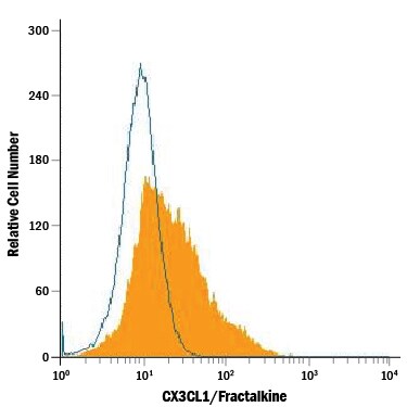 Detection of CX3CL1/Fractalkine antibody in bEnd.3 Mouse Cell Line antibody by Flow Cytometry.
