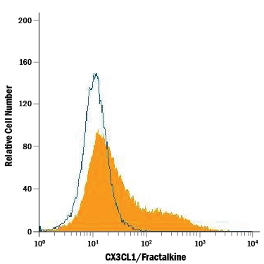 Detection of CX3CL1/Fractalkine antibody in bEnd.3 Mouse Cell Line antibody by Flow Cytometry.