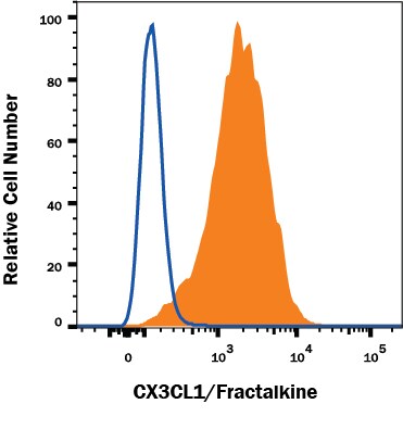 Detection of CX3CL1/Fractalkine antibody in HEK293 Human Cell Line Transfected with Human CX3CL1/Fractalkine and eGFP antibody by Flow Cytometry.