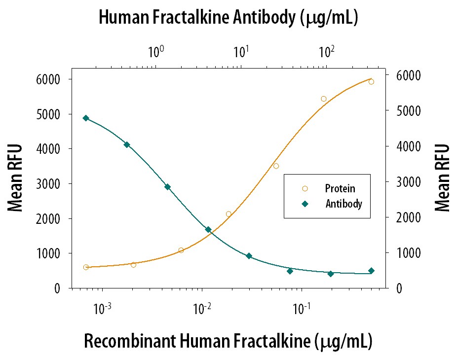 Chemotaxis Induced by CX3CL1/Fractalkine and Neutralization by Human CX3CL1/Fractalkine Antibody.