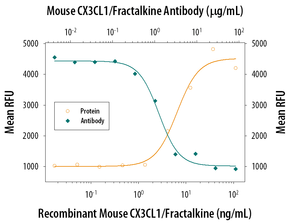 Chemotaxis Induced by CX3CL1/Fractalkine and Neutralization by Mouse CX3CL1/Fractalkine Antibody.
