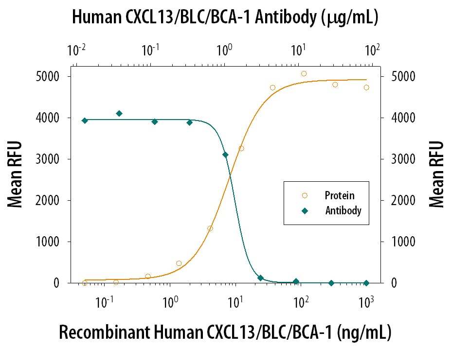 Chemotaxis Induced by CXCL13/BLC/BCA‑1 and Neutralization by Human CXCL13/BLC/BCA‑1 Antibody.