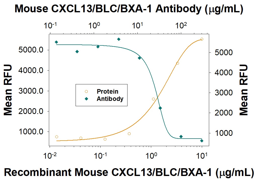 Chemotaxis Induced by CXCL13/BLC/BCA-1 and Neutralization by Mouse CXCL13/BLC/BCA-1 Antibody.