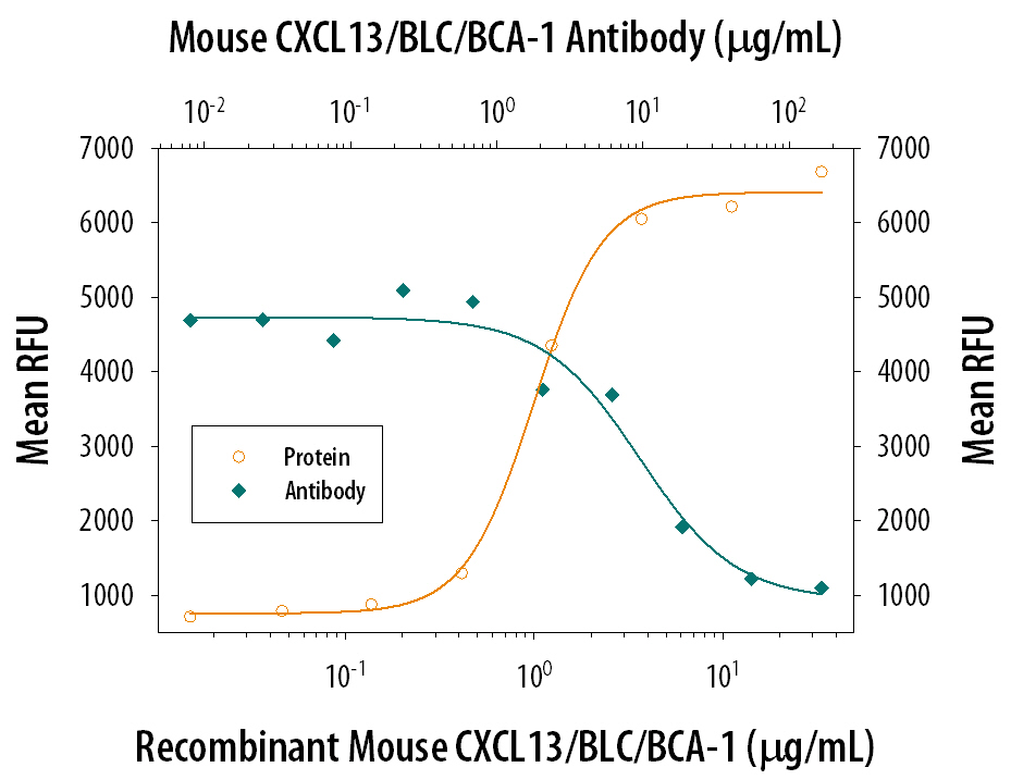 Chemotaxis Induced by CXCL13/BLC/BCA‑1 and Neutralization by Mouse CXCL13/BLC/BCA‑1 Antibody.