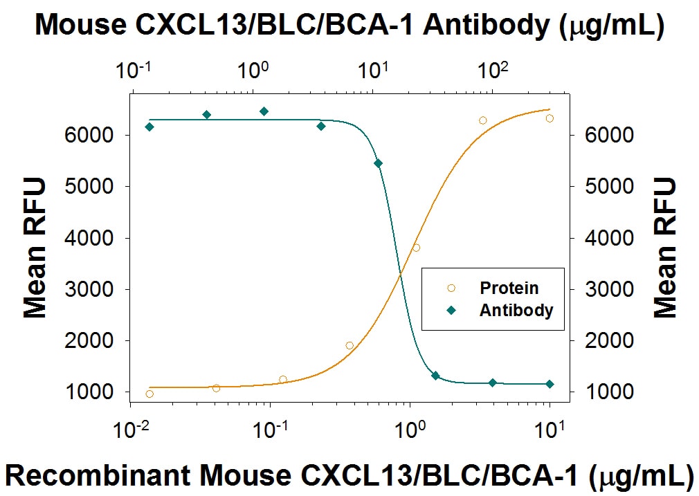 Chemotaxis Induced by CXCL13/BLC/BCA-1 and Neutralization by Mouse CXCL13/BLC/BCA-1 Antibody