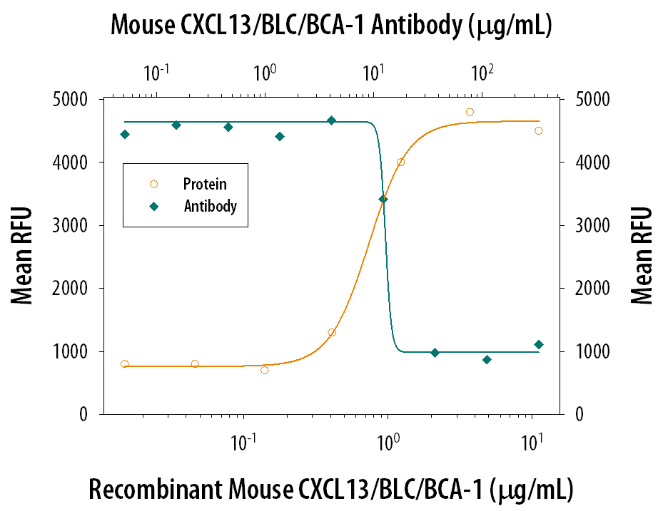 Chemotaxis Induced by CXCL13/BLC/BCA‑1 and Neutralization by Mouse CXCL13/BLC/BCA‑1 Antibody.