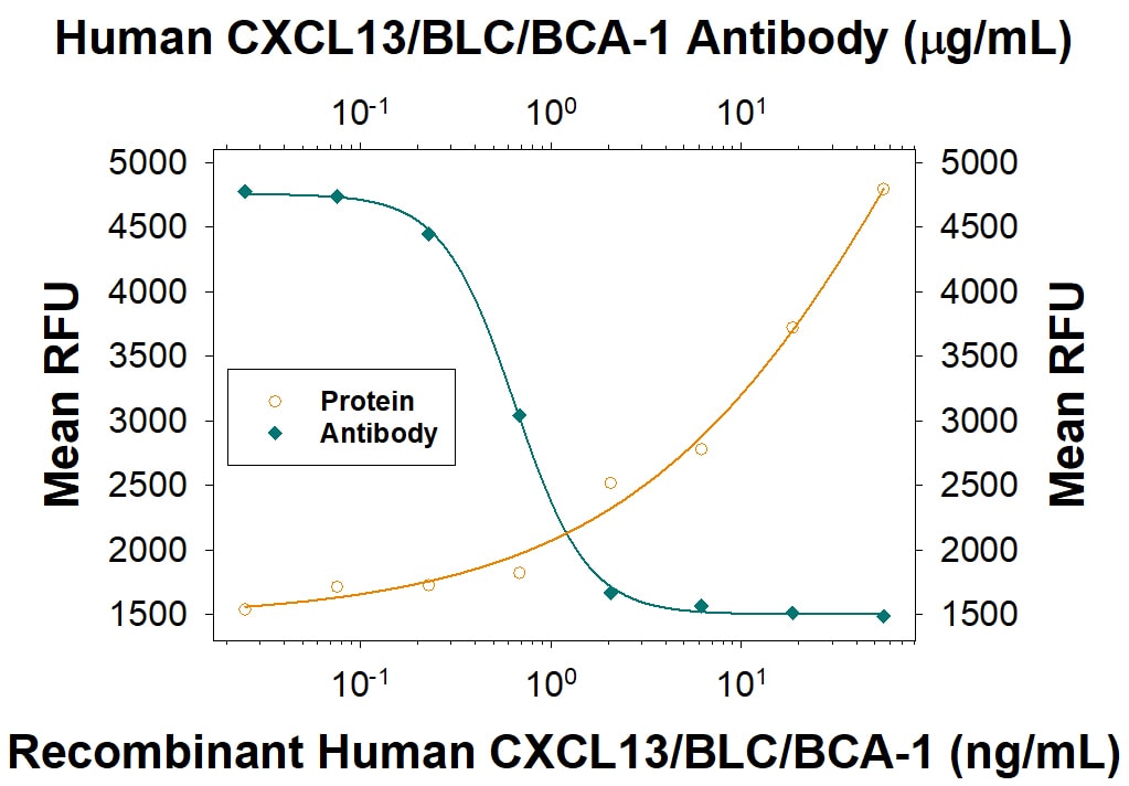 Chemotaxis Induced by CXCL13/BLC/BCA-1 and Neutralization by Human CXCL13/BLC/BCA-1 Antibody.