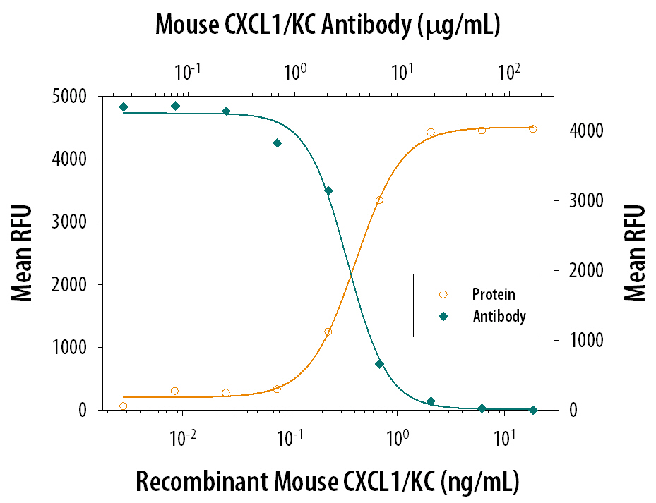 Chemotaxis Induced by CXCL1/KC and Neutralization by Mouse CXCL1/KC Antibody.
