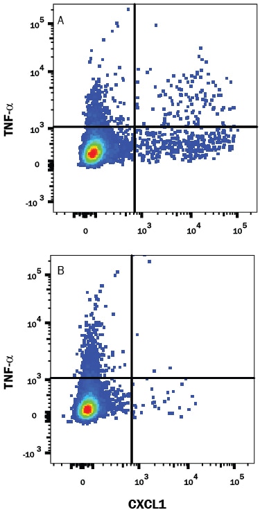 Detection of CXCL1/GROa/KC/CINC‑1 antibody in Mouse Splenocytes antibody by Flow Cytometry.