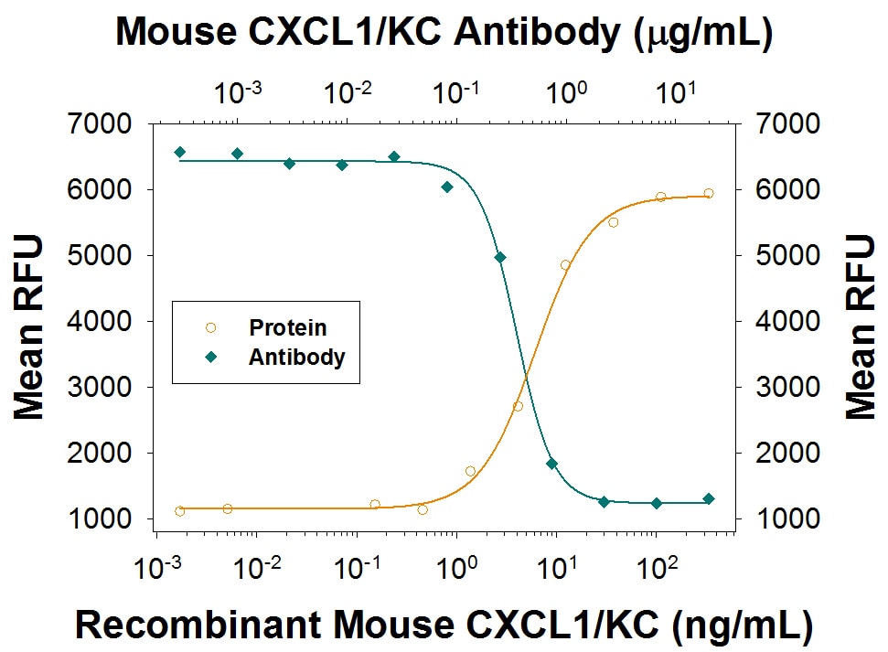 Chemotaxis Induced by CXCL1/GRO alpha /KC/CINC-1 and Neutralization by Mouse CXCL1/GRO alpha /KC/CINC-1 Antibody.