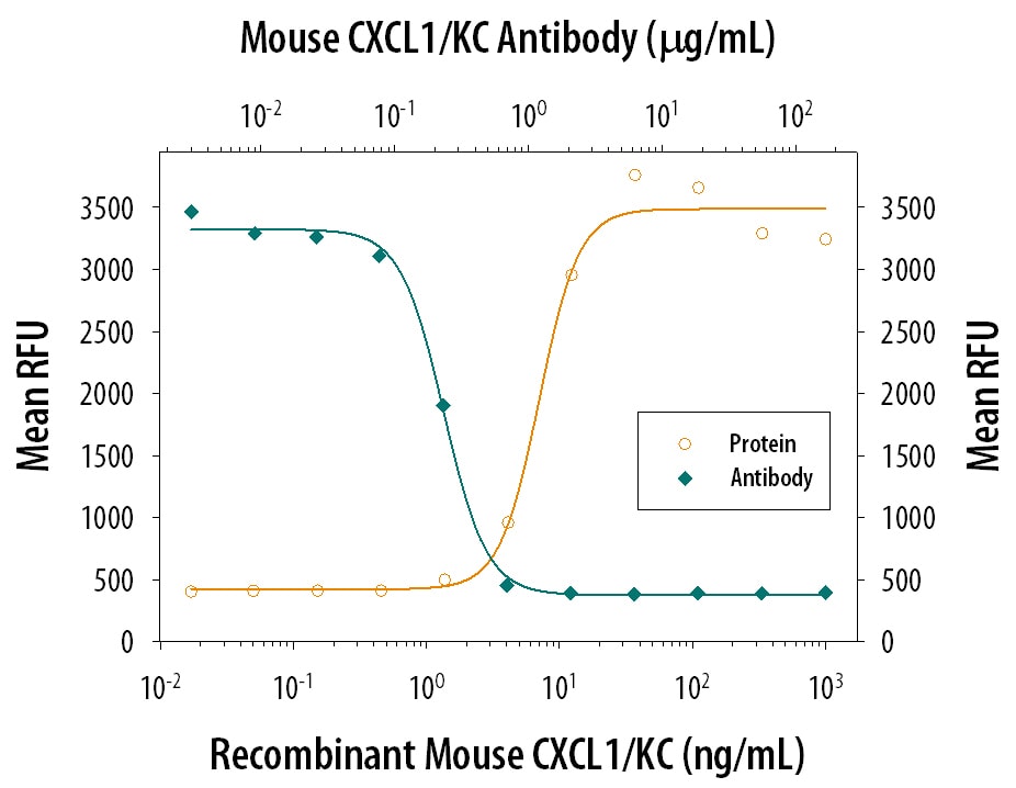 Chemotaxis Induced by CXCL1/GRO alpha /KC/CINC‑1 and Neutralization by Mouse CXCL1/GRO alpha /KC/CINC‑1 Antibody.