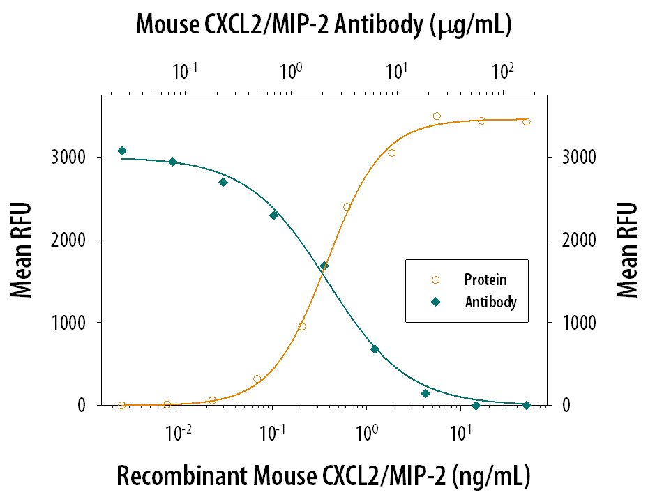 Chemotaxis Induced by CXCL2/MIP‑2 and Neutralization by Mouse CXCL2/MIP‑2 Antibody.
