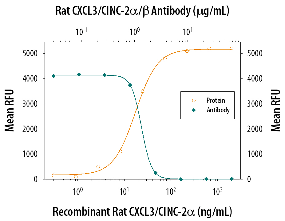 Chemotaxis Induced by CXCL3/CINC‑2 alpha  and Neutral-ization by Rat CXCL3/ CINC‑2 alpha / beta  Antibody.