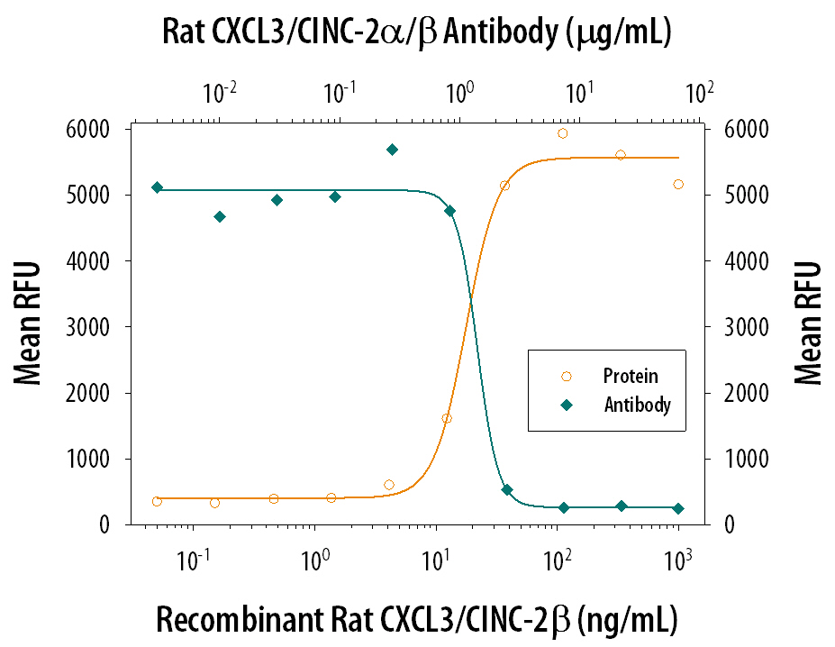 Chemotaxis Induced by CXCL3/CINC‑2 beta  and Neutral-ization by Rat CXCL3/ CINC‑2 alpha / beta  Antibody.