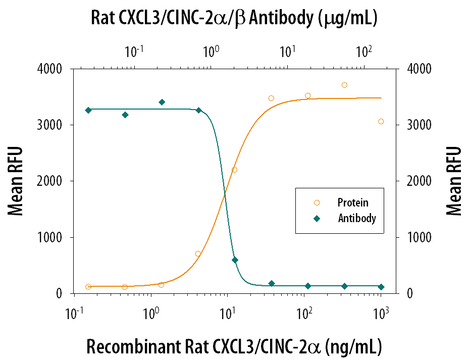 Chemotaxis Induced by CXCL3/CINC‑2 alpha  and Neutralization by Rat CXCL3/CINC‑2 alpha / beta  Antibody.