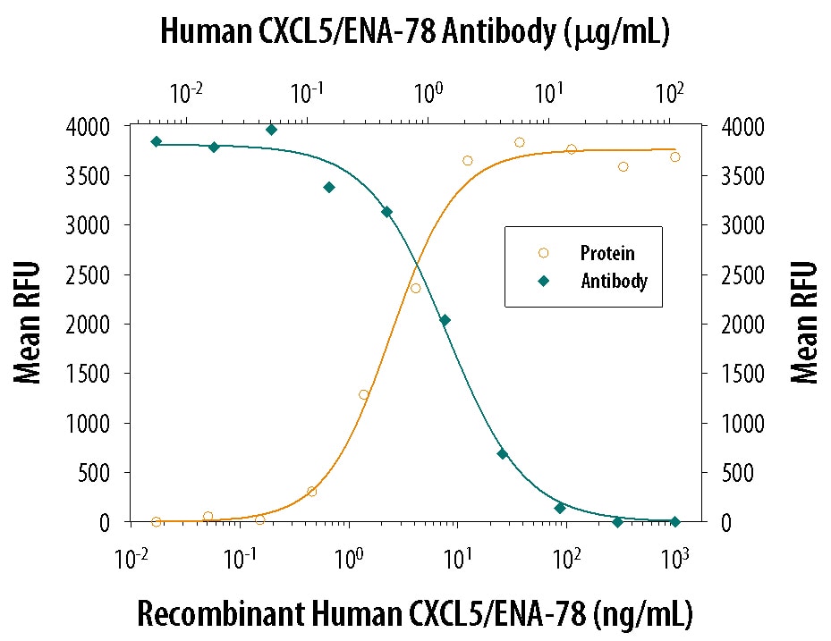 Chemotaxis Induced by CXCL5/ENA‑78 and Neutral-ization by Human CXCL5/ENA‑78 Antibody.