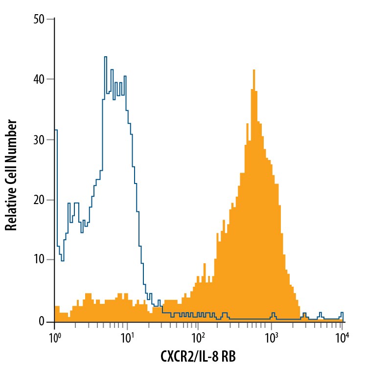 Detection of CXCR2/IL-8 RB antibody in Rat Blood Granulocytes antibody by Flow Cytometry.