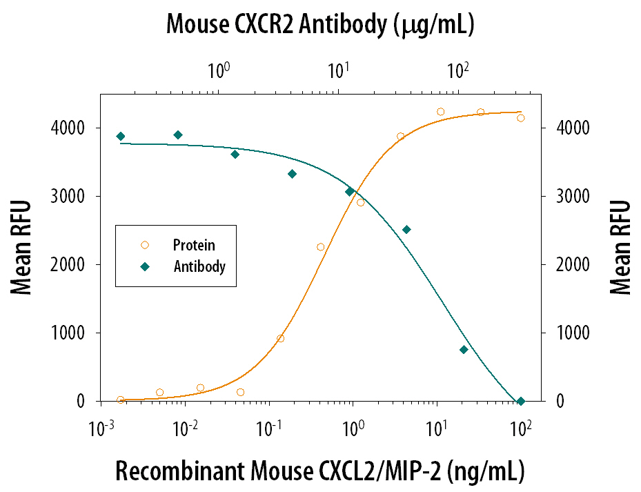 Chemotaxis Induced by CXCL2/MIP‑2 and Neutralization by Mouse CXCR2/IL‑8 RB Antibody.