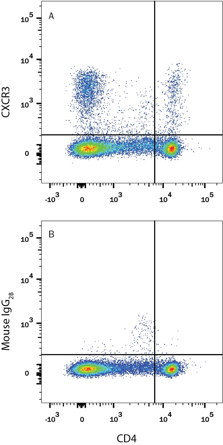 Detection of CXCR3 antibody in Rat Splenocytes antibody by Flow Cytometry.