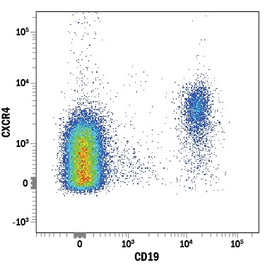 Detection of CXCR4 antibody in Human Blood Lymphocytes antibody by Flow Cytometry.