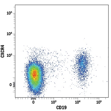 Detection of CXCR4 antibody in Human Blood Lymphocytes antibody by Flow Cytometry.