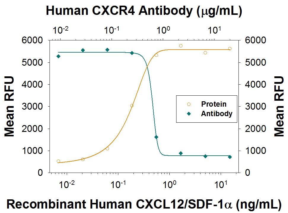 Chemotaxis Induced by CXCL12/SDF-1 alpha  and Neutrali-zation by Human CXCR4 Antibody.