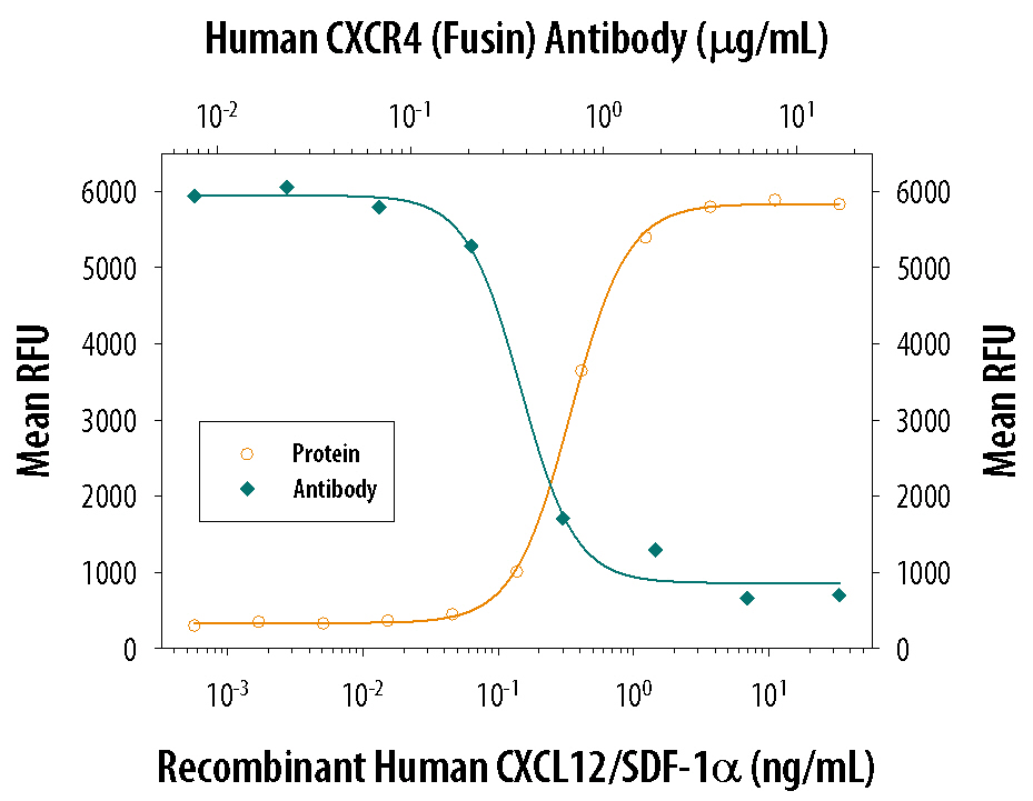 Chemotaxis Induced by CXCL12/SDF-1 alpha  and Neutrali-zation by Human CXCR4 Antibody.