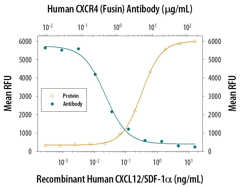 Chemotaxis Induced by CXCL12/SDF‑1 alpha  and Neutralization by Human CXCR4 Antibody.
