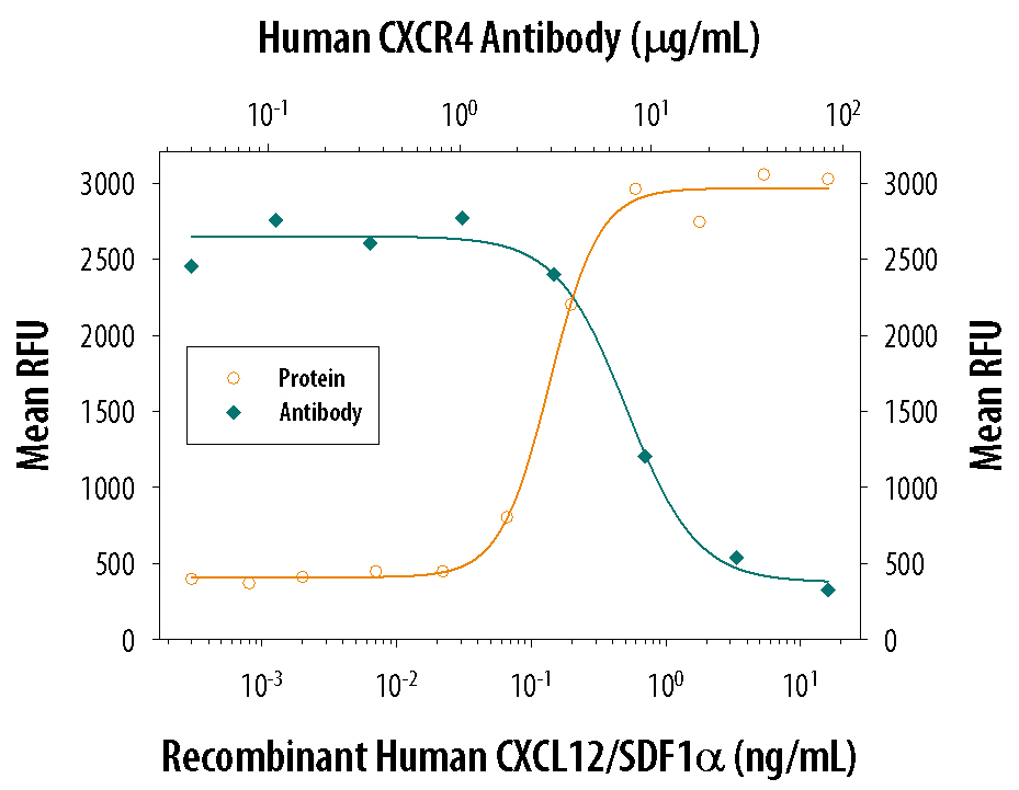 Chemotaxis Induced by CXCL12/SDF‑1 alpha  and Neutralization by Human CXCR4 Antibody.