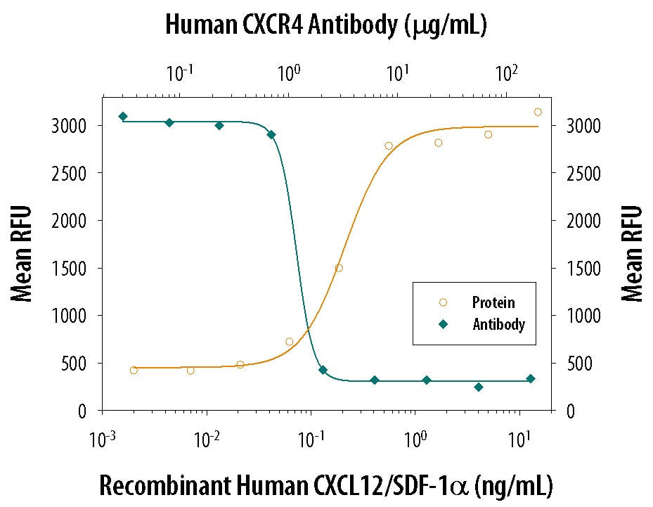Chemotaxis Induced by CXCL12/SDF‑1 alpha  and Neutralization by Human CXCR4 Antibody.