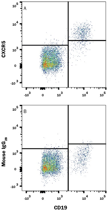Detection of CXCR5 antibody in Human Blood Lymphocytes antibody by Flow Cytometry.