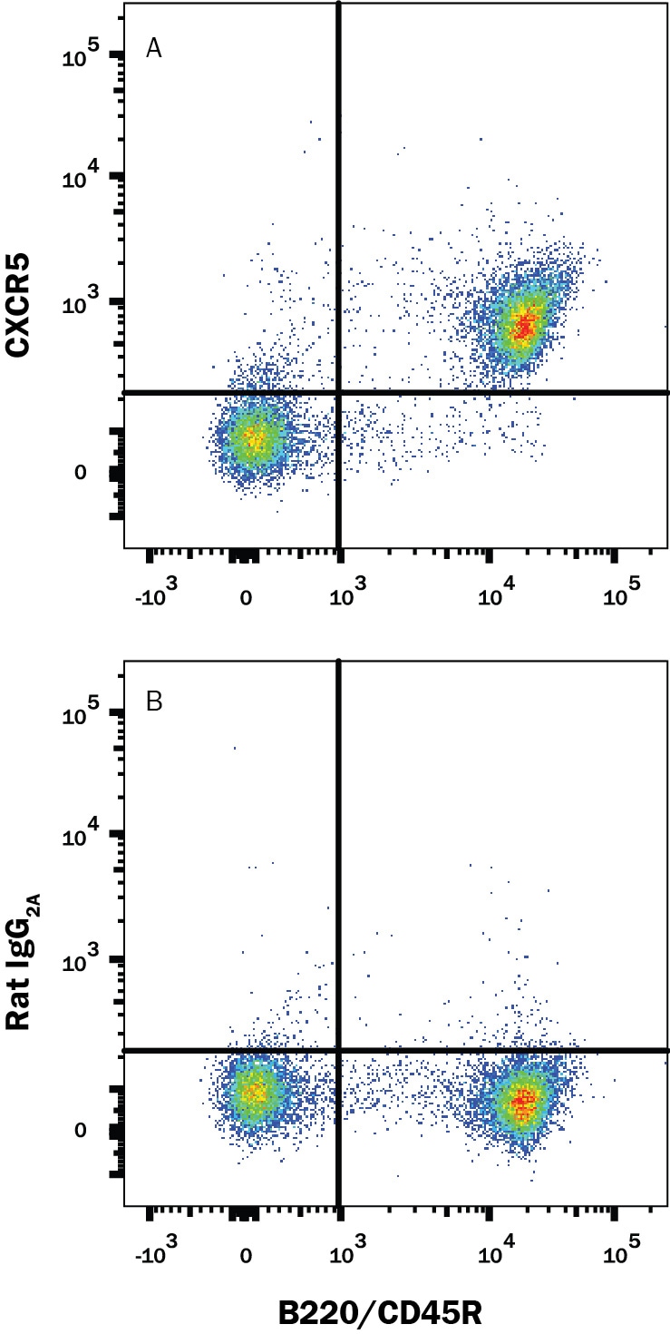 Detection of CXCR5 antibody in Mouse Splenocytes antibody by Flow Cytometry.