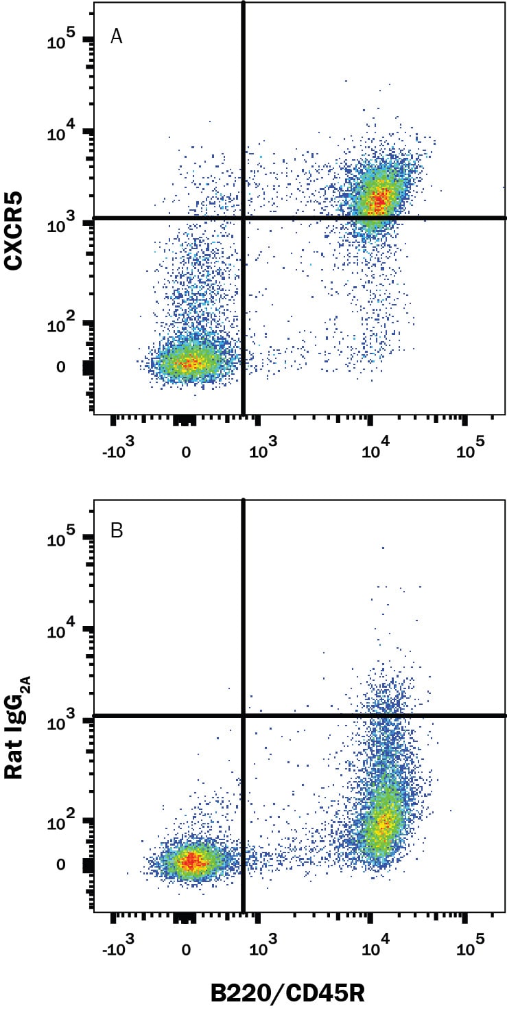 Detection of CXCR5 antibody in Mouse Splenocytes antibody by Flow Cytometry.