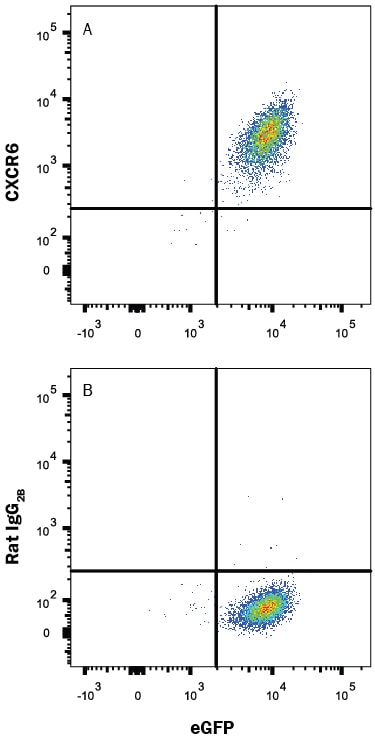 Detection of CXCR6 antibody in BaF3 mouse cell line transfected with mouse CXCR6 and eGFP antibody by Flow Cytometry.