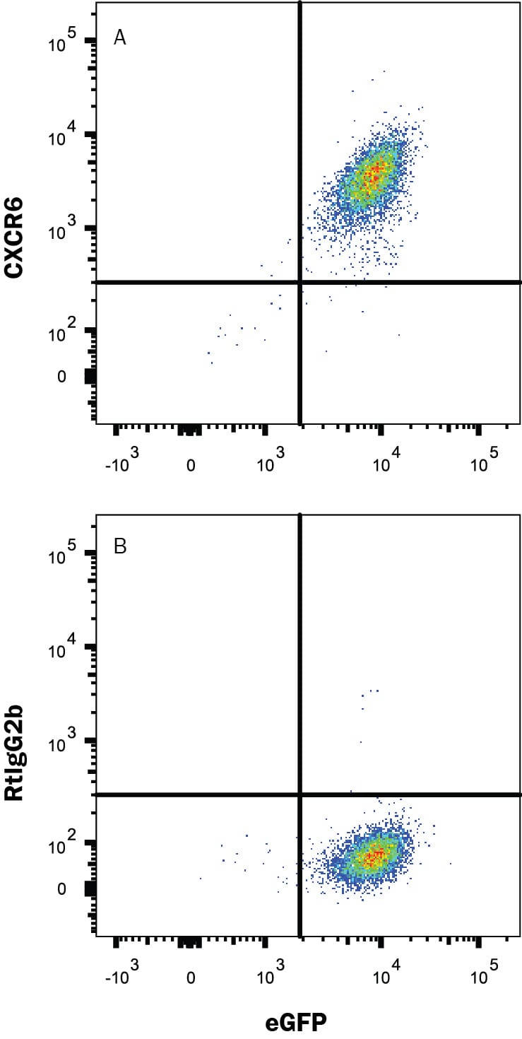 Detection of CXCR6 antibody in BaF3 mouse cell line transfected with mouse CXCR6 and eGFP antibody by Flow Cytometry.