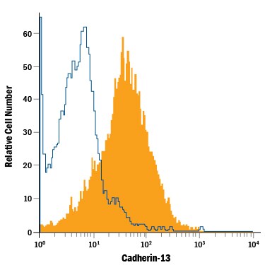 Detection of Cadherin‑13 antibody in NCI‑H460 Human Cell Line antibody by Flow Cytometry.