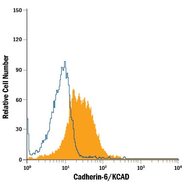 Detection of Cadherin-6/KCAD antibody in MG-63 Human Cell Line antibody by Flow Cytometry.