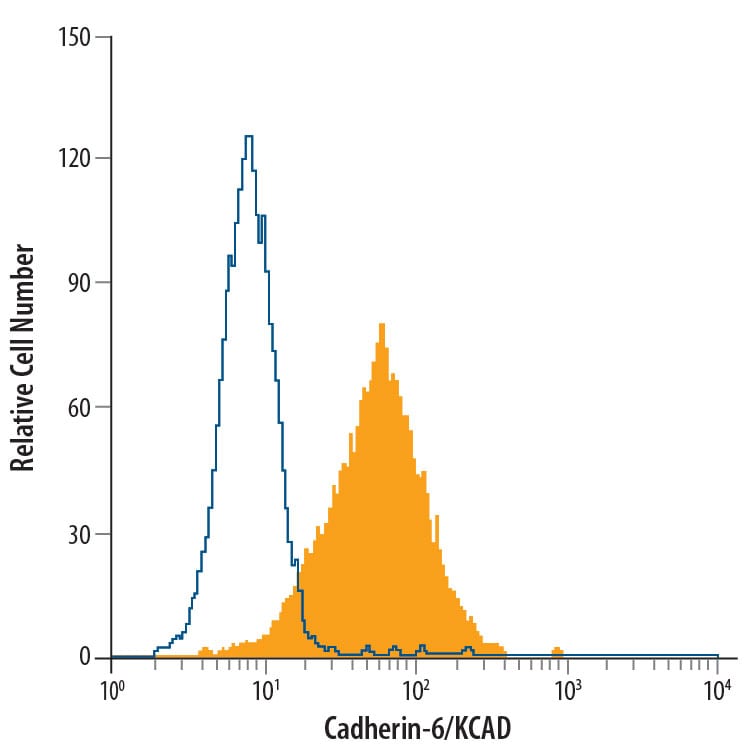 Detection of Cadherin-6/KCAD antibody in MG-63 Human Cell Line antibody by Flow Cytometry.