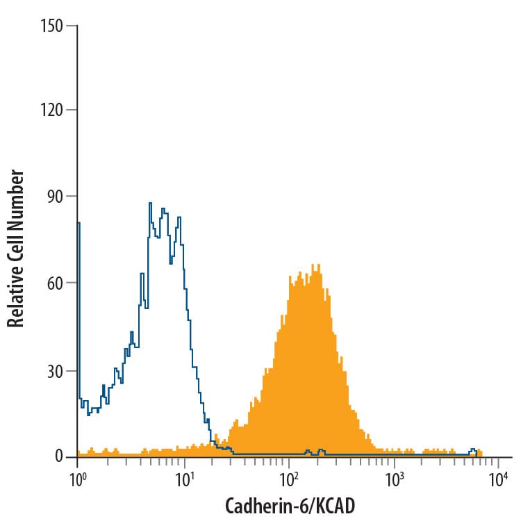 Detection of Cadherin-6/KCAD antibody in MG-63 Human Cell Line antibody by Flow Cytometry.