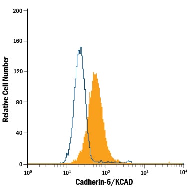 Detection of Cadherin-6/KCAD antibody in MG-63 Human Cell Line antibody by Flow Cytometry.