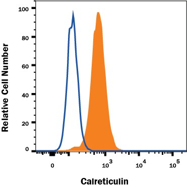 Detection of Calreticulin antibody in HeLa Human Cell Line antibody by Flow Cytometry.
