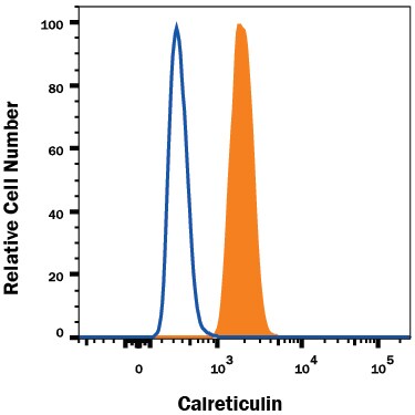 Detection of Calreticulin antibody in HeLa Human Cell Line antibody by Flow Cytometry.