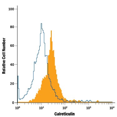 Detection of Calreticulin antibody in HeLa Human Cell Line antibody by Flow Cytometry.
