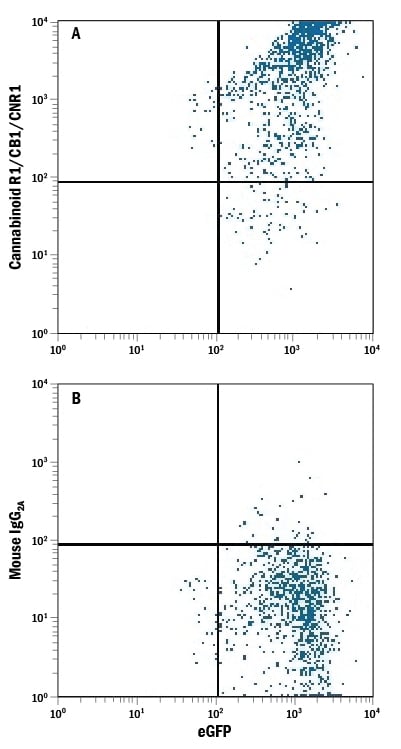 Detection of Cannabinoid R1/CB1/CNR1 antibody in NS0 Mouse Cell Line Transfected with Human Cannabinoid R1/CB1/CNR1 and eGFP antibody by Flow Cytometry.