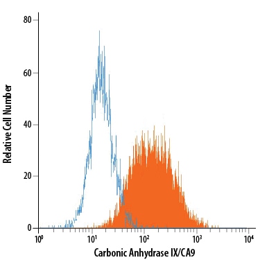 Detection of Carbonic Anhydrase IX/CA9 antibody in U-87 MG Human Cell Line antibody by Flow Cytometry.