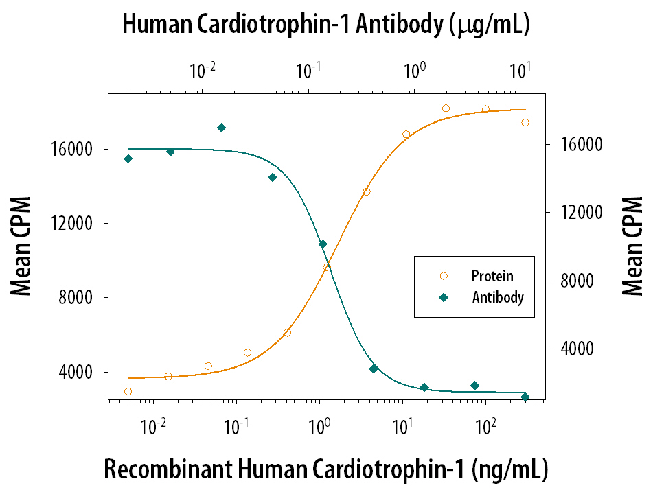 Cell Proliferation Induced by Cardiotrophin‑1/CT‑1 and Neutralization by Human Cardiotrophin‑1/CT‑1 Antibody.