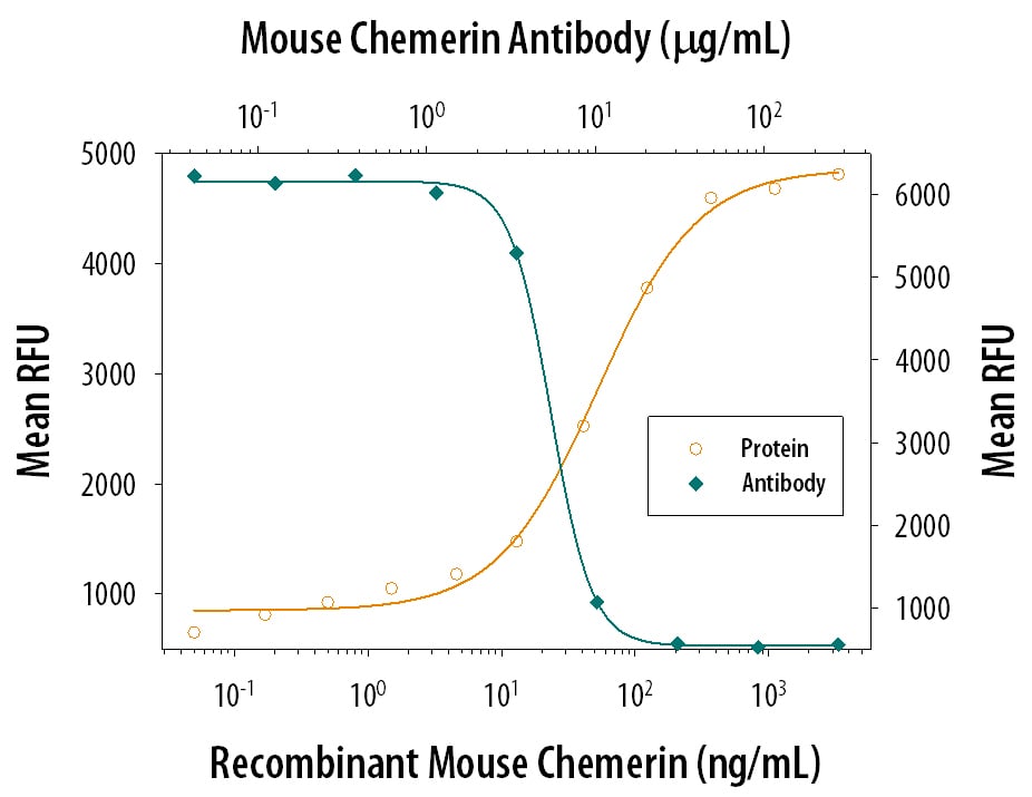 Chemotaxis Induced by Chemerin and Neutralization by Mouse Chemerin Antibody.
