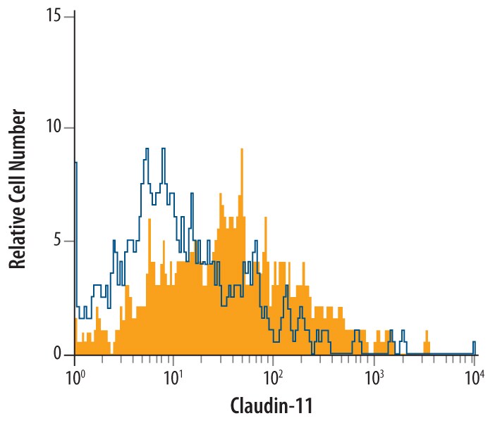 Detection of Claudin‑11 antibody in OVCAR‑3 Human Cell Line antibody by Flow Cytometry.
