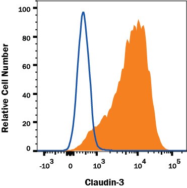 Detection of Claudin-3 antibody in PC-3 Human Cell Line antibody by Flow Cytometry.